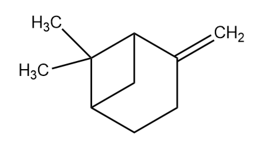 B056304.png